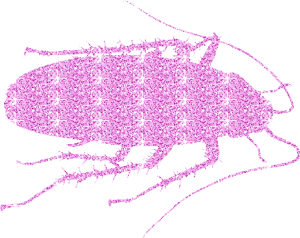 cockroach